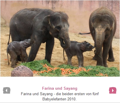 © Erlebnis Zoo Hannover